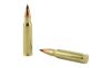 NOSLER VG 308WIN 110GR FB TIP 20/200