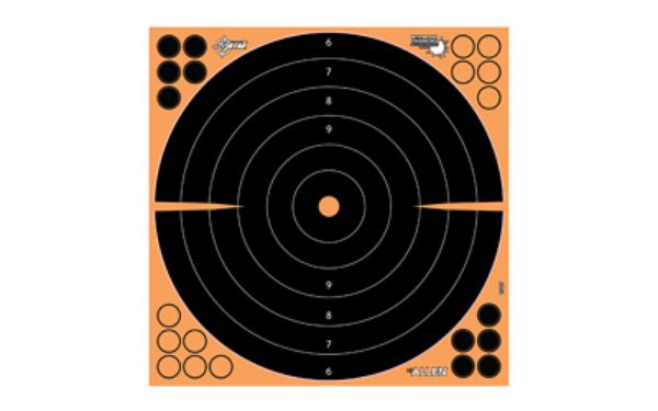 ALLEN EZ AIM 16"X16" BULLSEYE 5PK
