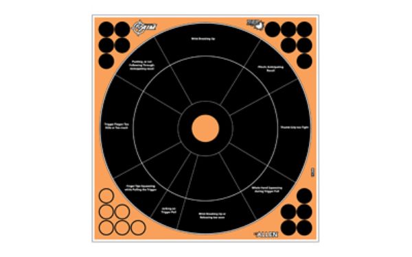 ALLEN EZ AIM 12"X12" HG TRAINER 5PK