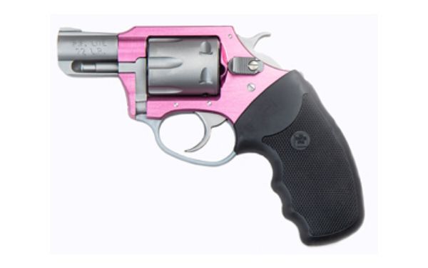 CHARTER ARMS PINK LADY 22LR 2" 8RD