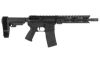 DBF DB15 300BLK 10" 30RD BLK BRACE