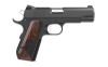 DW GUARDIAN 9MM 4.25" BBTL 9RD BLK