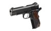 DW GUARDIAN 45ACP BOBTAIL 8RD BLK