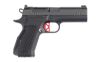 DW DWX CMPT 9MM 4" BLK NS OR 15RD