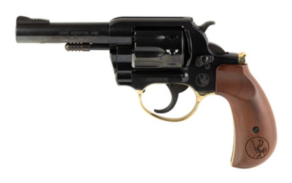HENRY H16 GLDN RVLVR 22LR 10RD 4" BH
