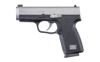 KAHR CW9 9MM 3.5" 7RD MATTE STS NS