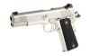 KIMBER STAINLESS LW 45ACP 5" 7RD OR