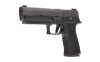 SIG P320 XTEN 10MM 5" 15RD BLK
