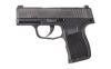 SIG P365 380ACP 3.1" 10RD BLK NS