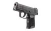SIG P365 380ACP 3.1" 10RD BLK NS