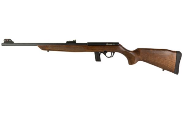 ROSSI RB 22LR 18" 10RD WOOD