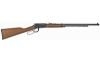 HENRY FRONTIER LONG 22LR 24"