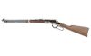 HENRY H4 GLDN BOY SLVR FATHER'S 22LR