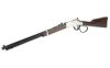 HENRY H4 GLDN BOY SLVR LL 22LR 20"
