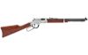 HENRY H4 GLDN BOY SLVR CMPT 22LR