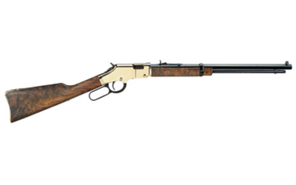 HENRY H4 GOLDEN BOY 17HMR 20" 12RD