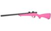 SAV RASCAL 22LR FV-SR 16.125" PNK