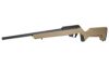SAV RXR22 22LR 16.5" 10RD FDE/BLK