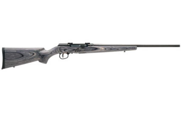 SAV A17 TARGET 17HMR 22" 10RD BL/LAM