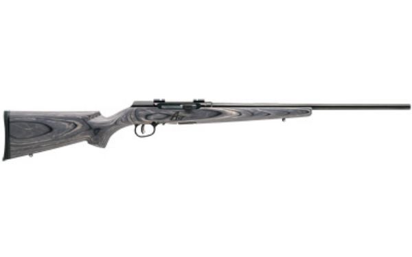 SAV A17 SPORTER 17HMR 22" 10RD LAM