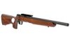 SAV B22 TIMBER 22LR 18" TB 10RD WOOD