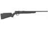SAV B17 F 17HMR 21" 10RD BLK
